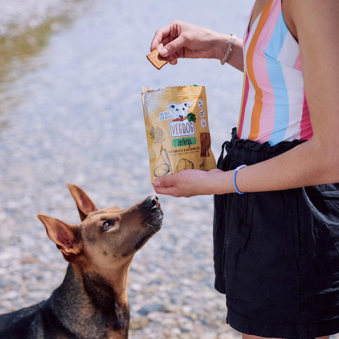 Jerkeys snacks 80g · dog treats