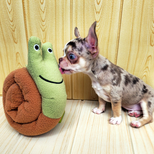 Caracol · juguete de perro de peluche