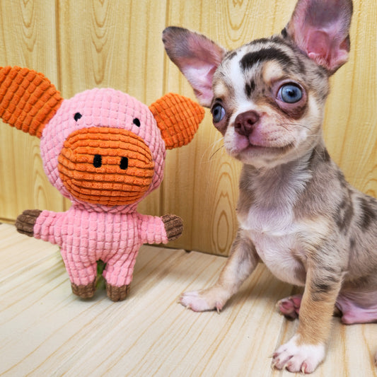 Cerdito · juguete de perro de peluche