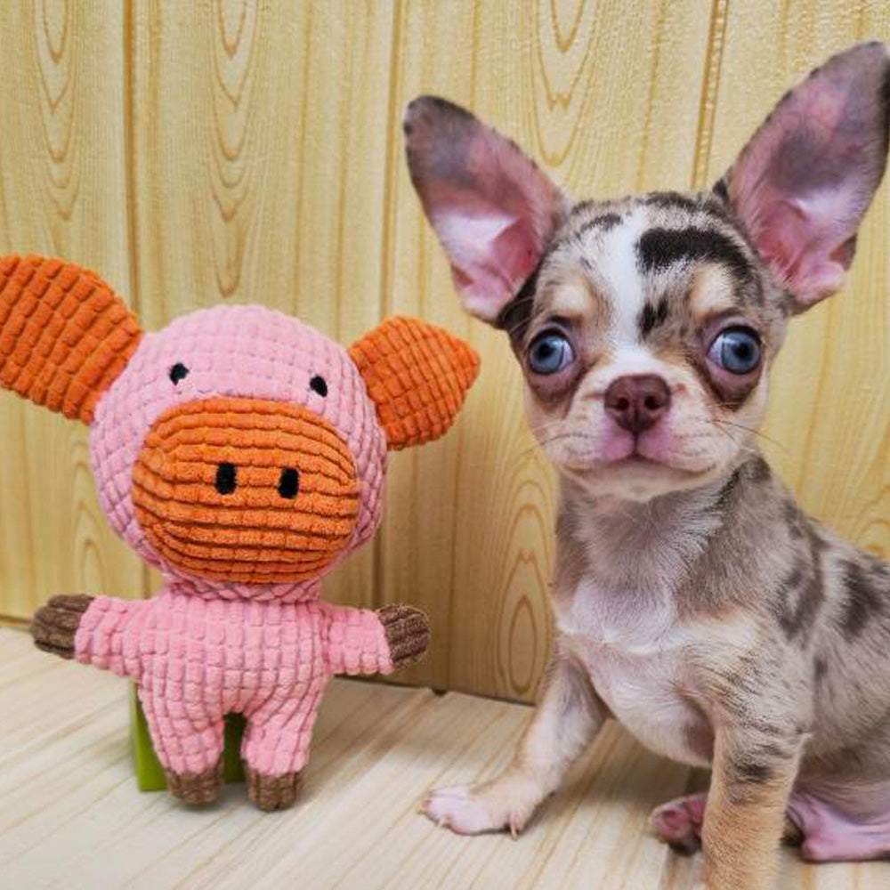 Bebé amigos y golosinas · paquete de 11 juguetes para perros