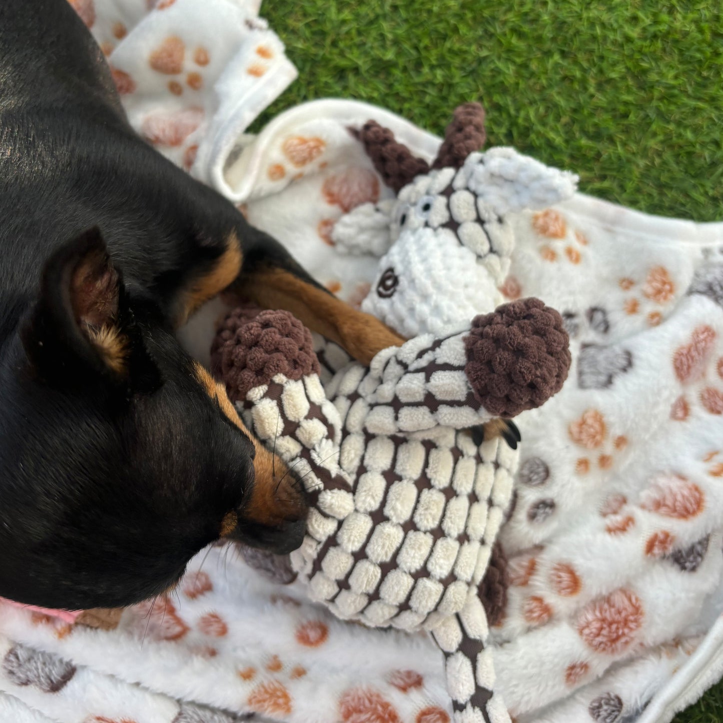 Giraffe · plush dog toy