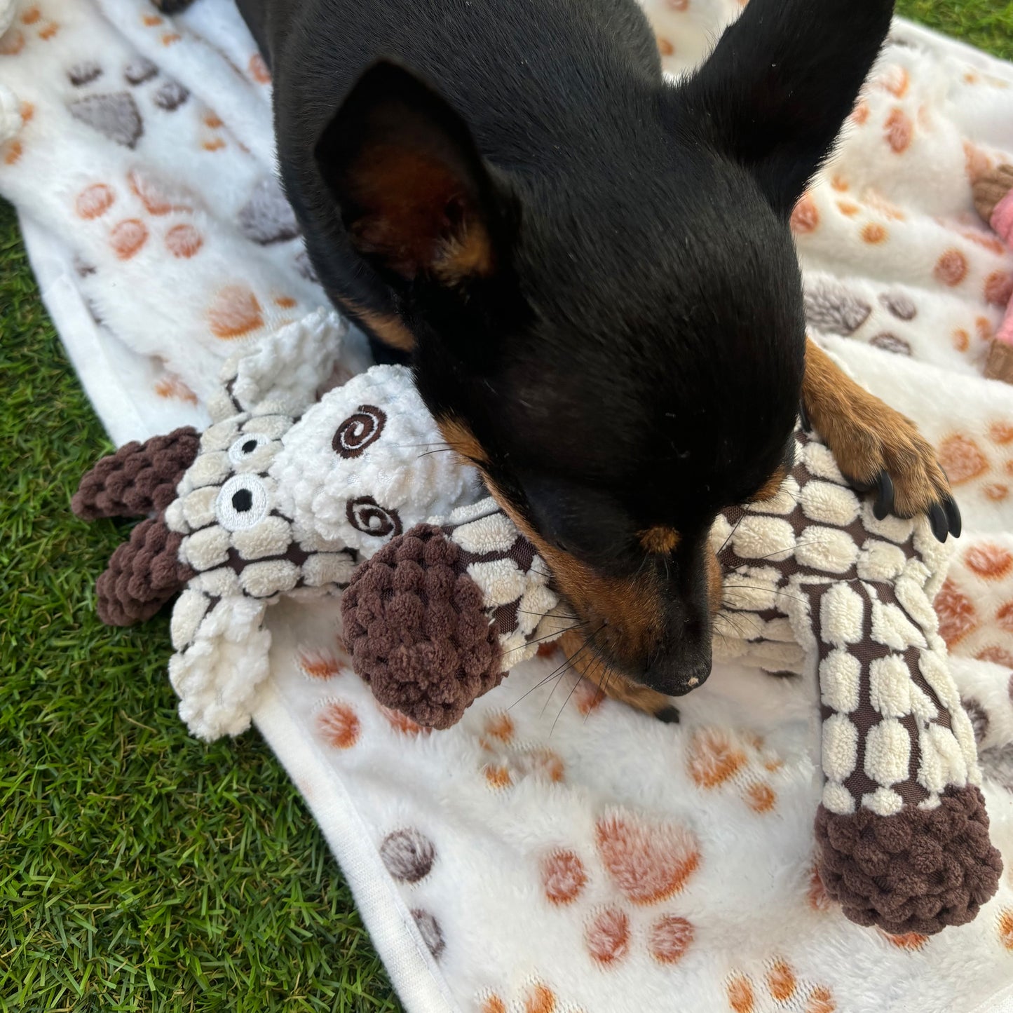 Giraffe · plush dog toy