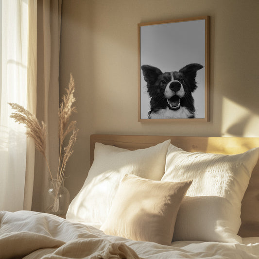 Mirada alegre de un perro · cuadro de decoración