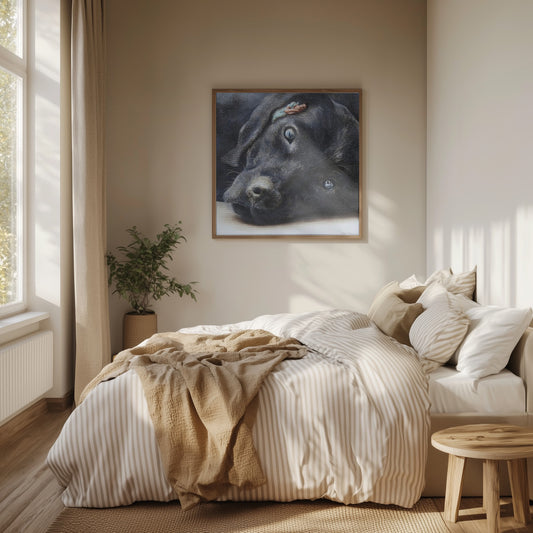 Dueño · cuadro de decoración