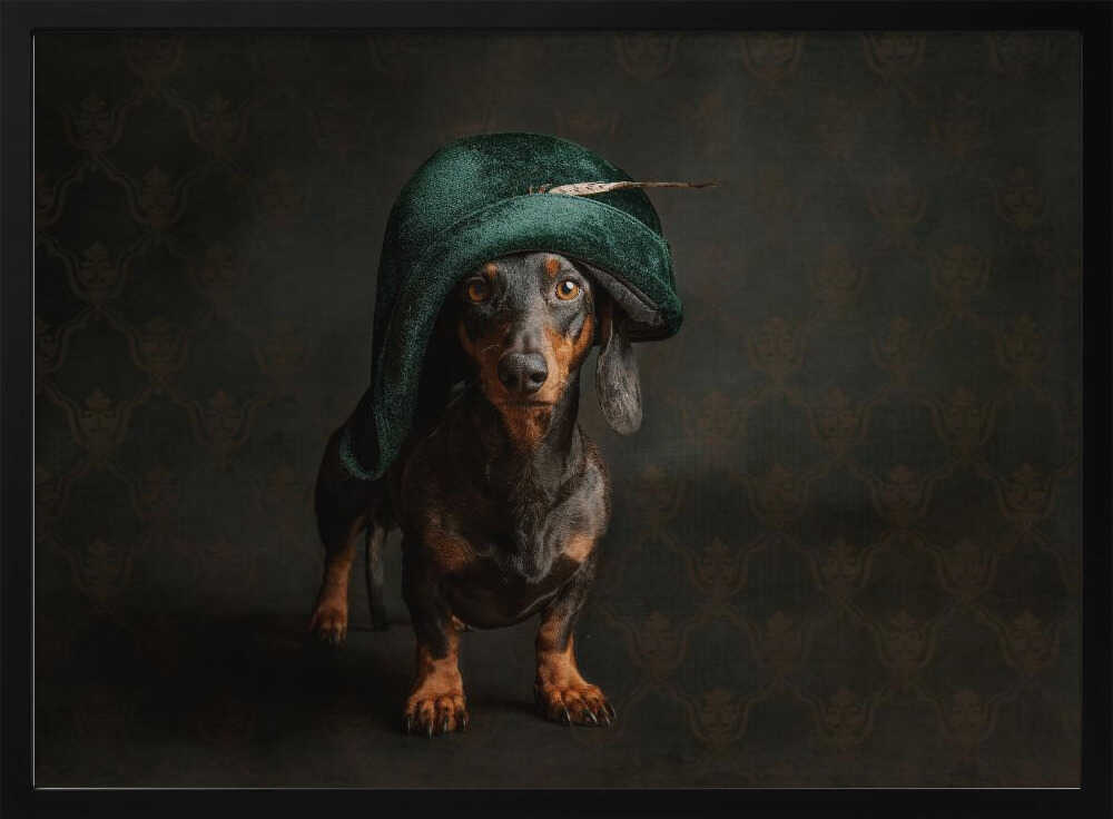¿Napoleón el perro salchicha?  ·  cuadro de decoración