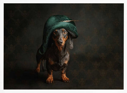 ¿Napoleón el perro salchicha?  ·  cuadro de decoración