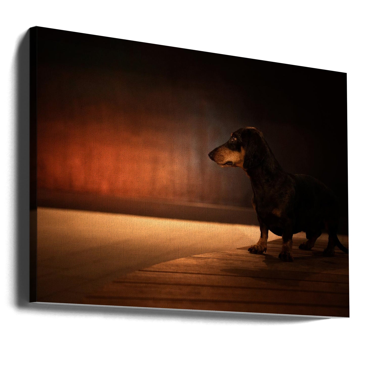 Poner la luz roja  ·  cuadro de decoración
