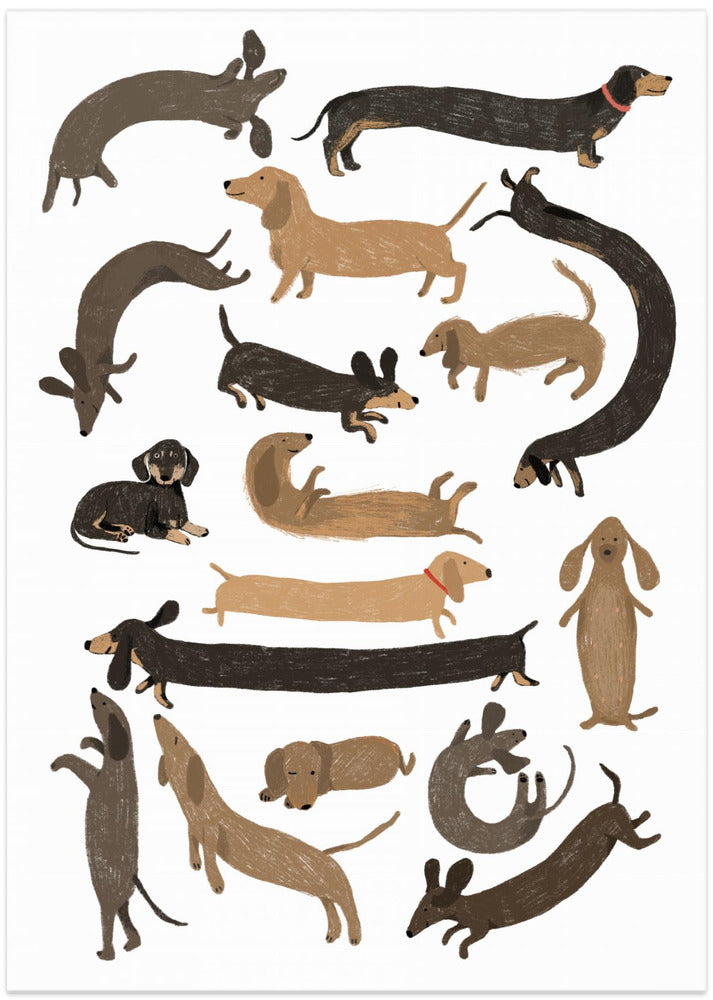 Todos los perros salchichas  ·  cuadro de decoración
