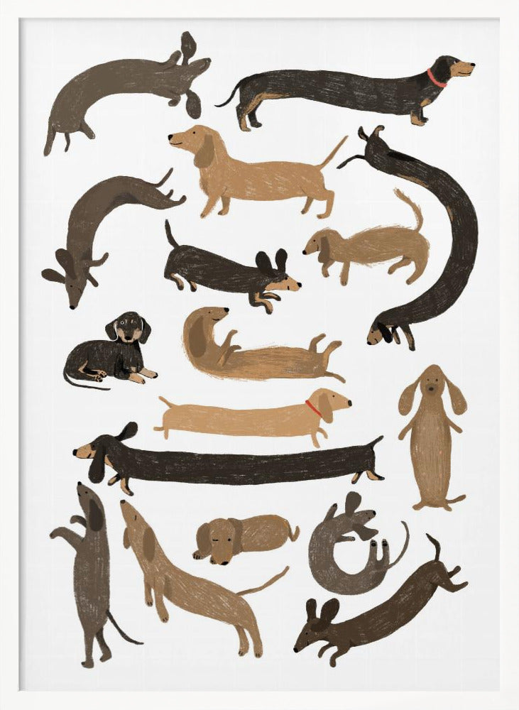 Todos los perros salchichas  ·  cuadro de decoración