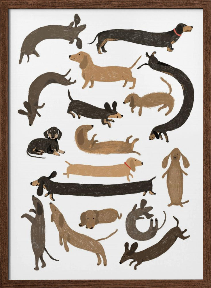 Todos los perros salchichas  ·  cuadro de decoración