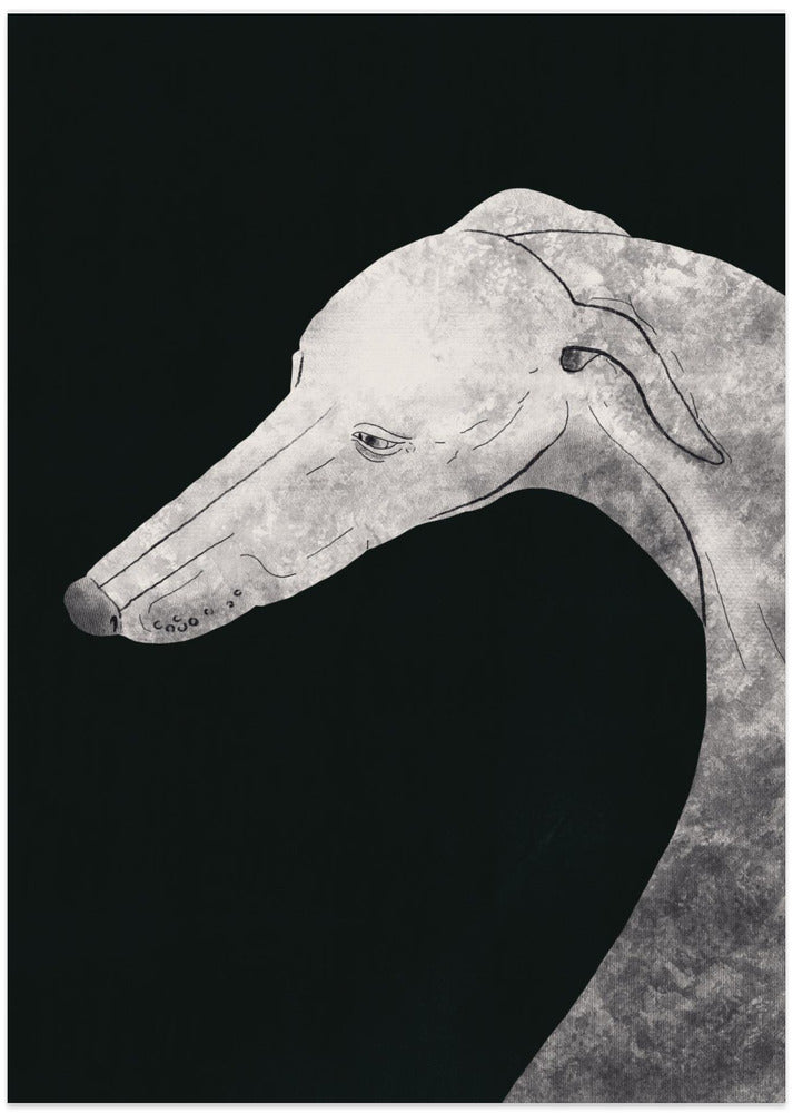 Perro galgo blanco y negro 02  ·  cuadro de decoración