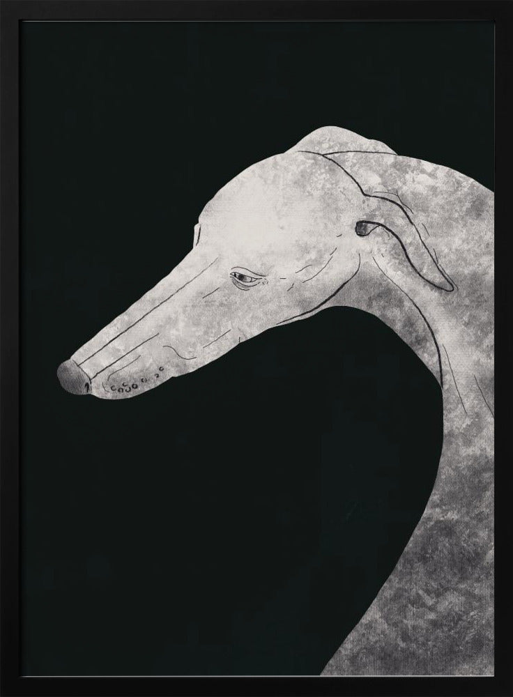 Perro galgo blanco y negro 02  ·  cuadro de decoración