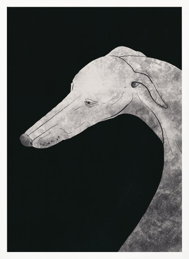 Perro galgo blanco y negro 02  ·  cuadro de decoración