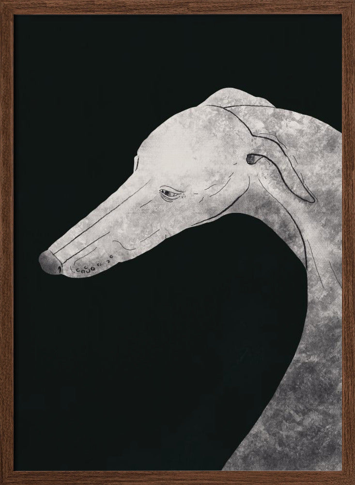 Perro galgo blanco y negro 02  ·  cuadro de decoración