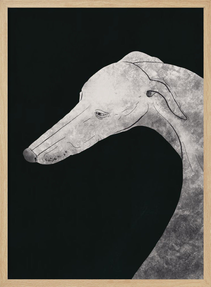 Perro galgo blanco y negro 02  ·  cuadro de decoración