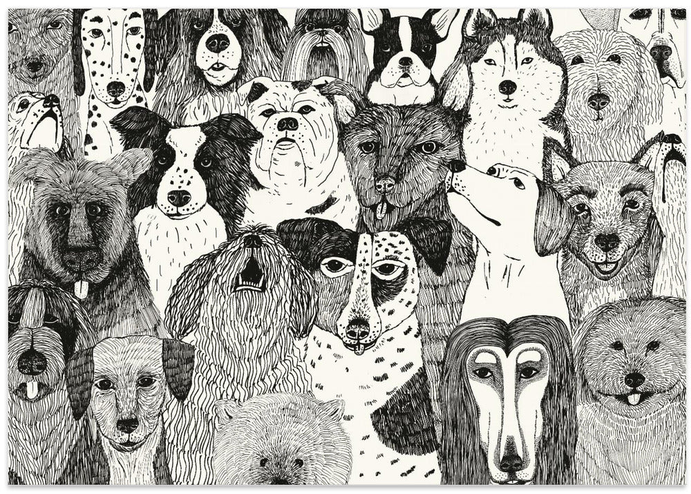 Caras de perros en blanco y negro  ·  cuadro de decoración