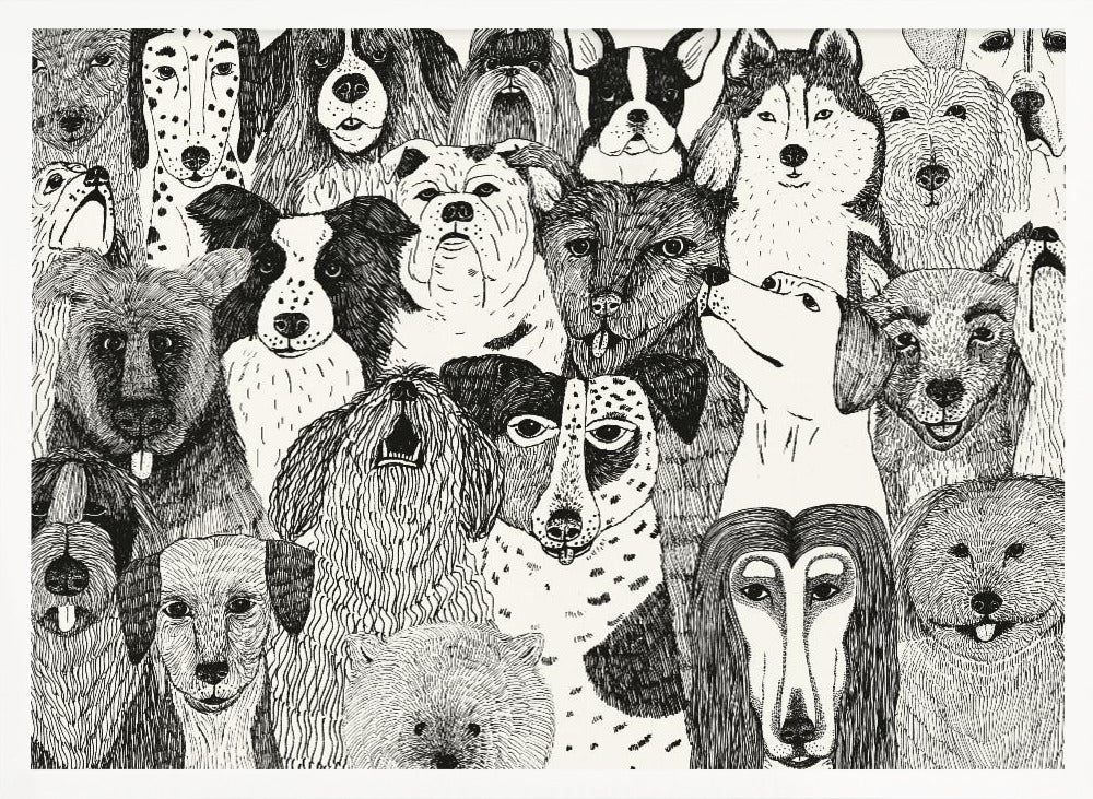 Caras de perros en blanco y negro  ·  cuadro de decoración