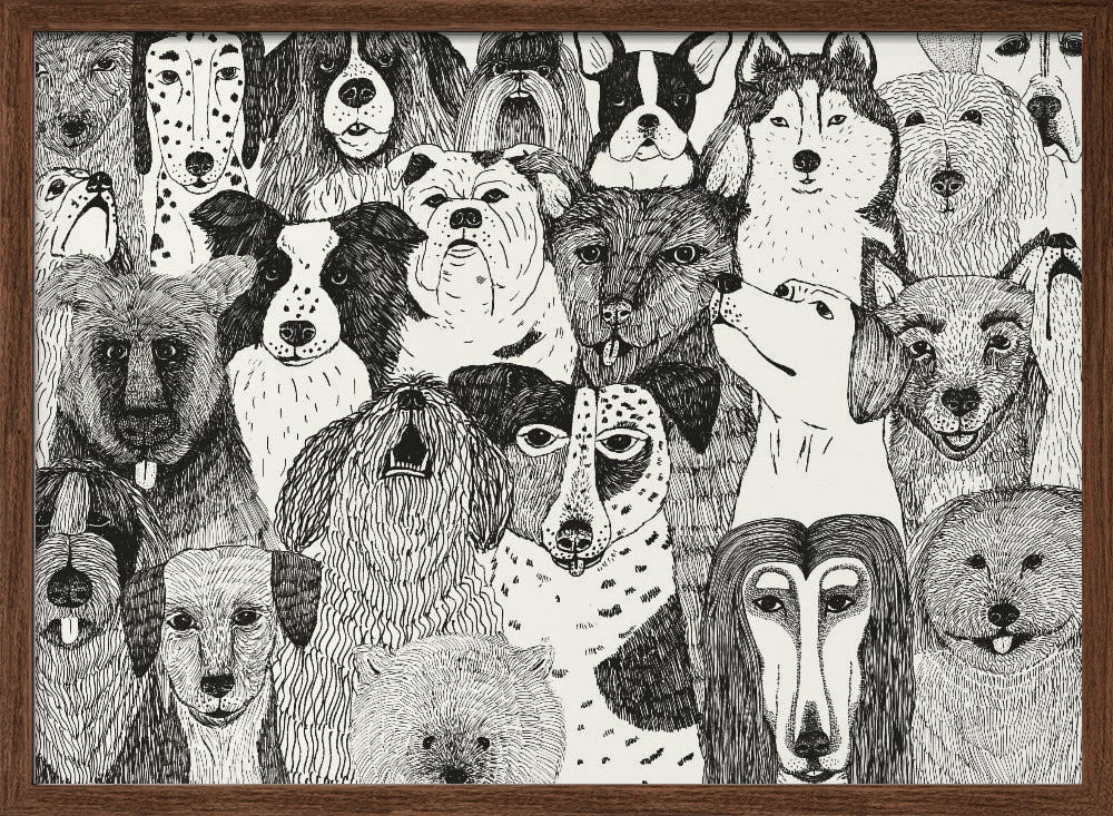 Caras de perros en blanco y negro  ·  cuadro de decoración