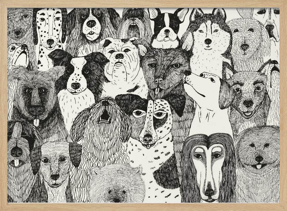 Caras de perros en blanco y negro  ·  cuadro de decoración