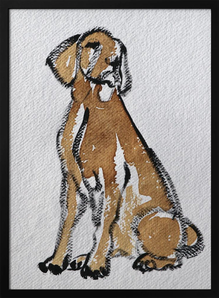 Perro 44  ·  cuadro de decoración
