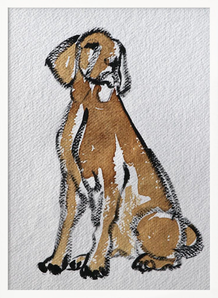 Perro 44  ·  cuadro de decoración