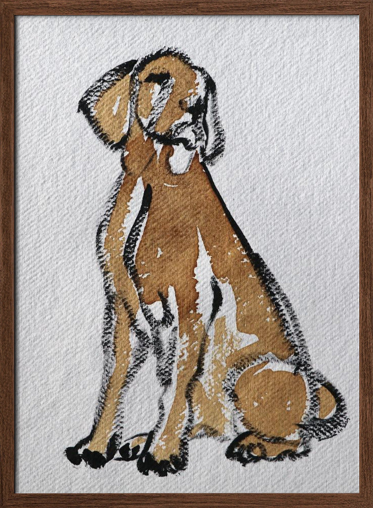 Perro 44  ·  cuadro de decoración