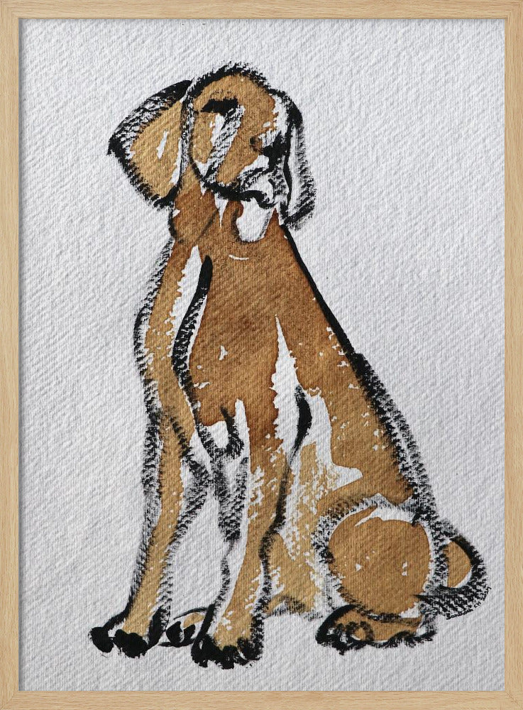 Perro 44  ·  cuadro de decoración