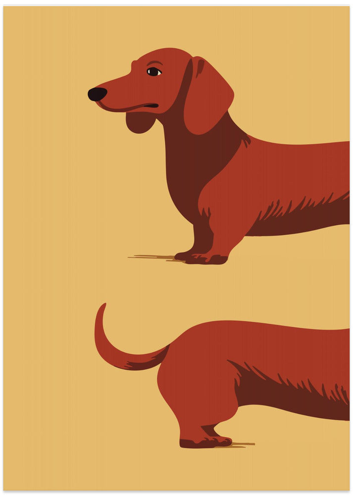 Un perro salchicha en dos mitades  ·  cuadro de decoración