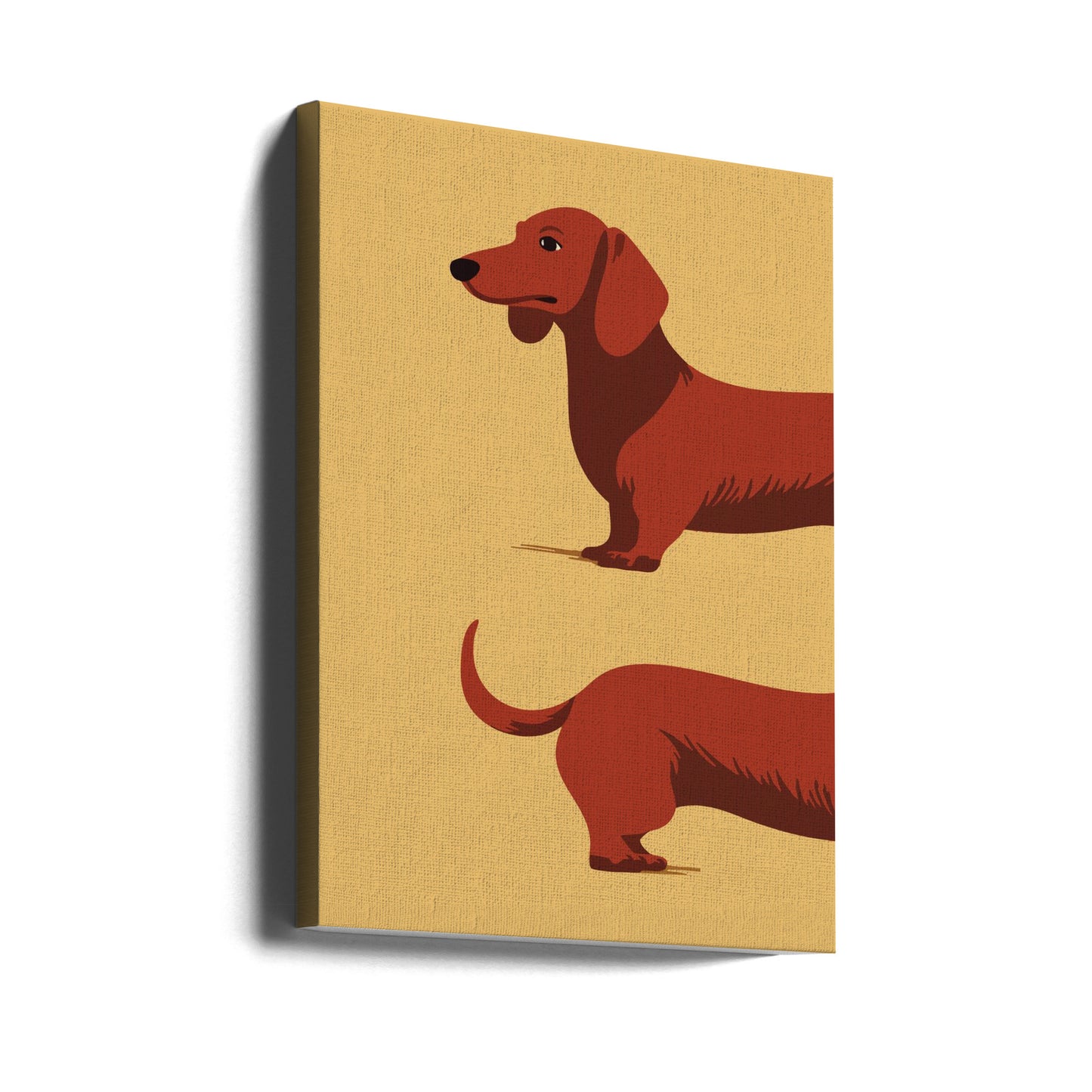 Un perro salchicha en dos mitades  ·  cuadro de decoración