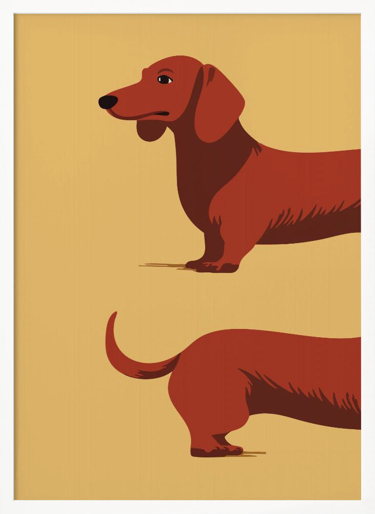Un perro salchicha en dos mitades  ·  cuadro de decoración