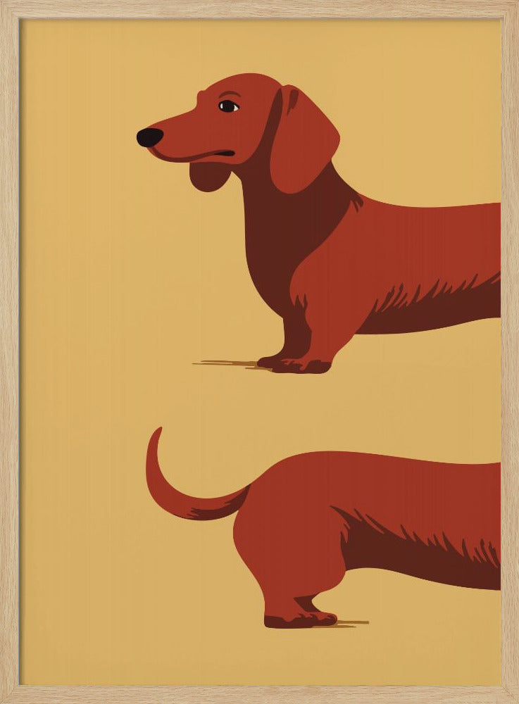 Un perro salchicha en dos mitades  ·  cuadro de decoración