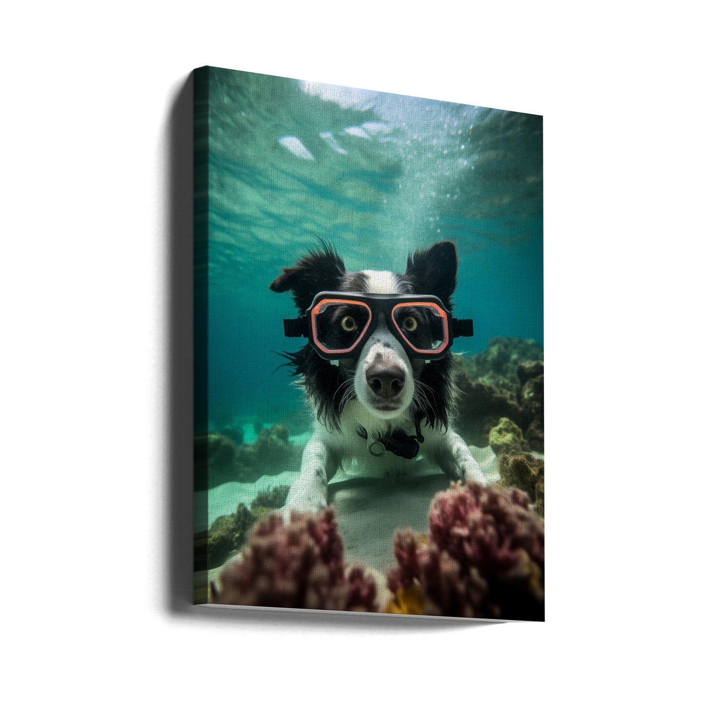 Inmersión 3 del Border Collie  ·  cuadro de decoración