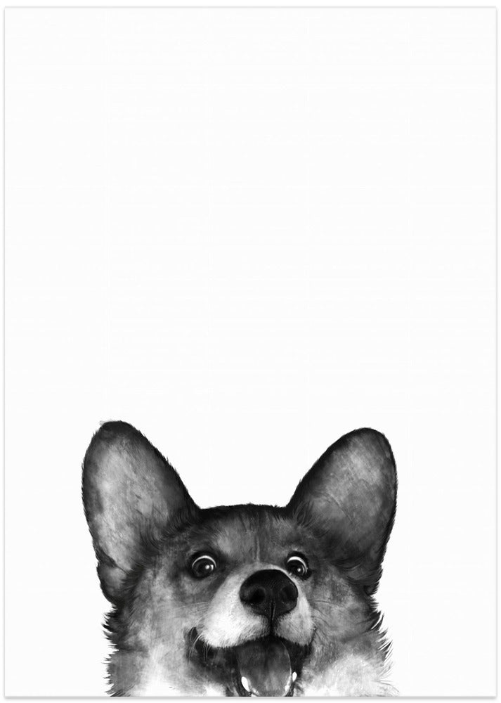 Perro Corgi con expresión alegre  ·  cuadro de decoración
