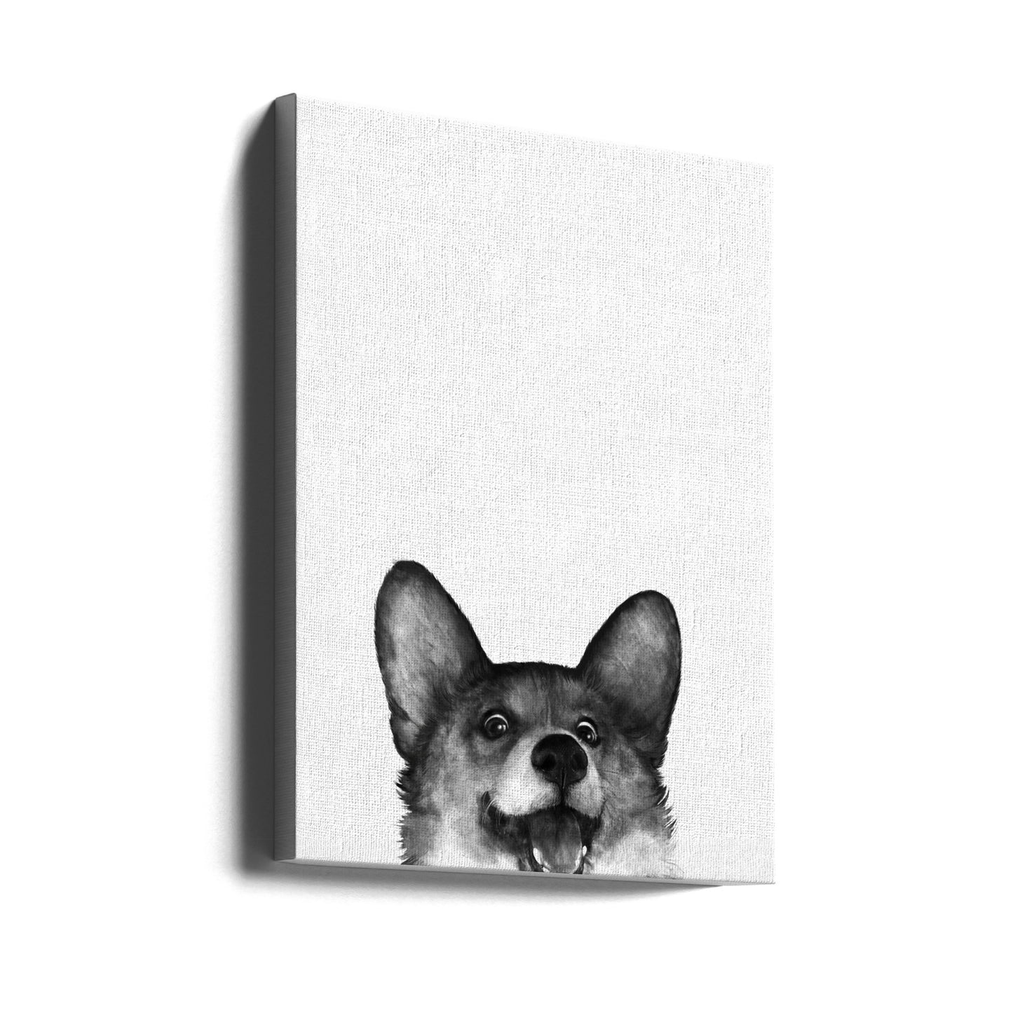 Perro Corgi con expresión alegre  ·  cuadro de decoración