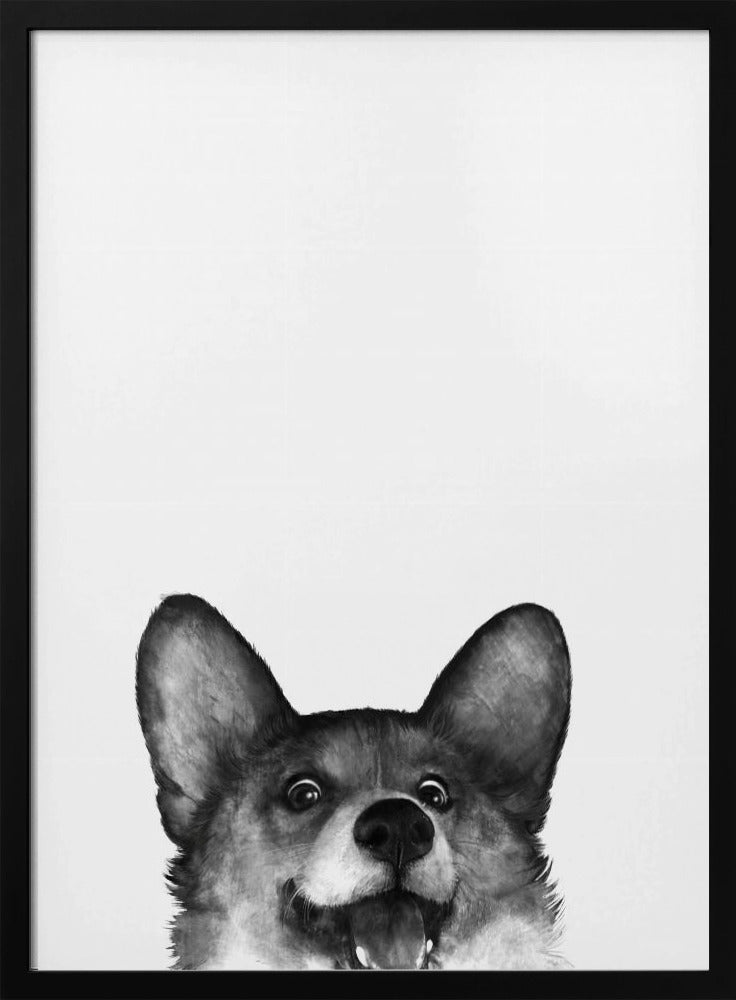 Perro Corgi con expresión alegre  ·  cuadro de decoración