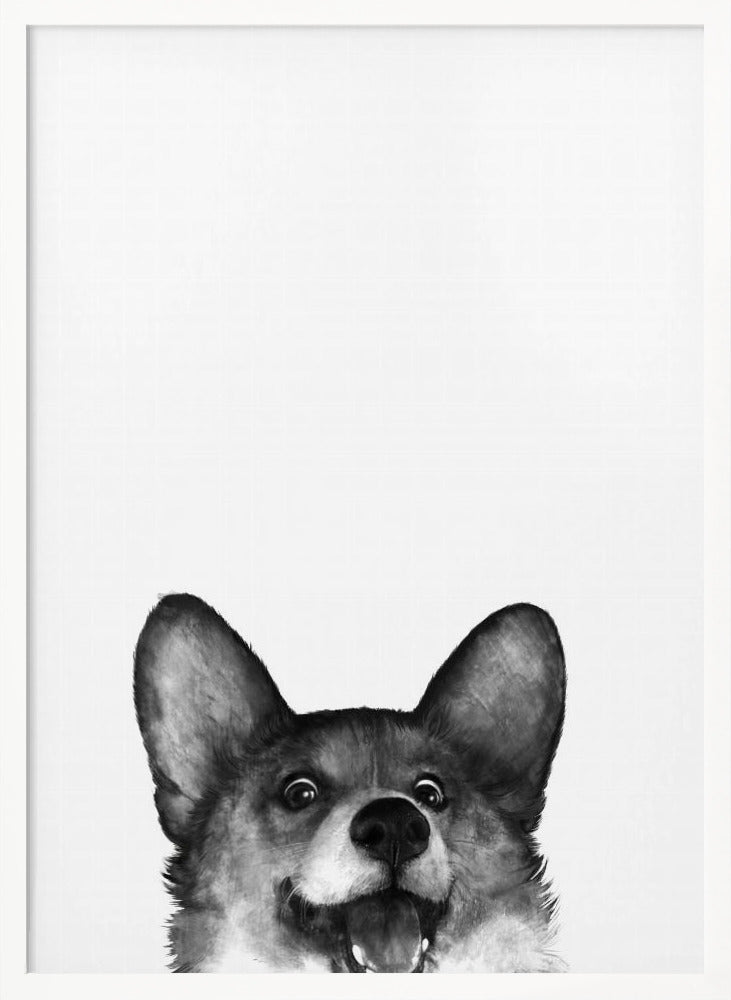 Perro Corgi con expresión alegre  ·  cuadro de decoración