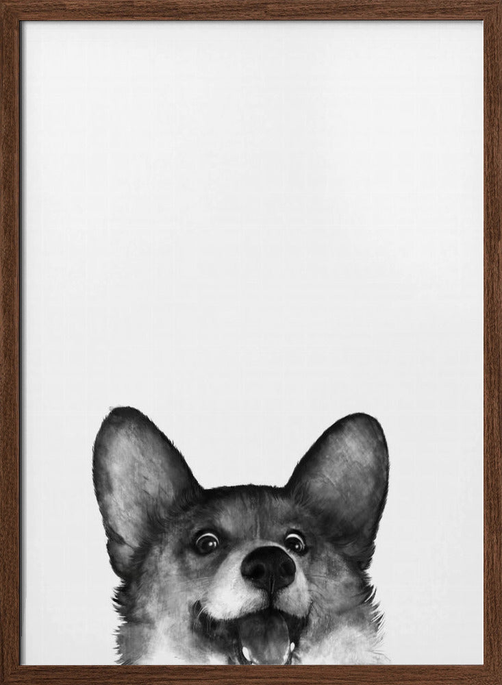 Perro Corgi con expresión alegre  ·  cuadro de decoración