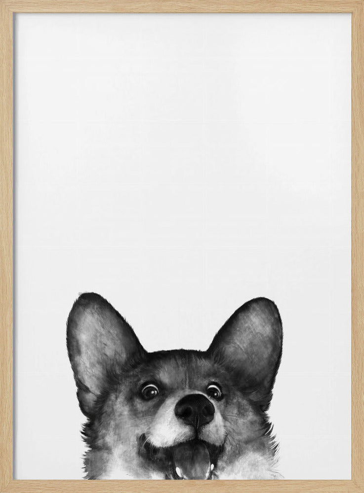 Perro Corgi con expresión alegre  ·  cuadro de decoración