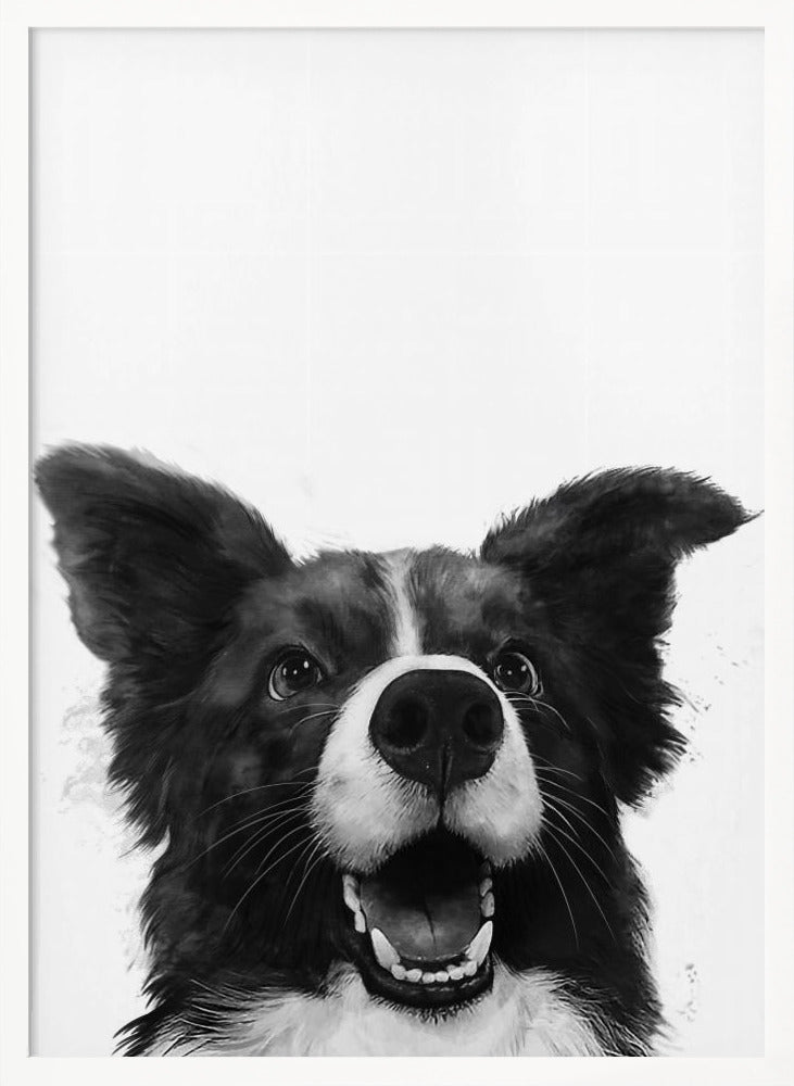 Mirada alegre de un perro  ·  cuadro de decoración