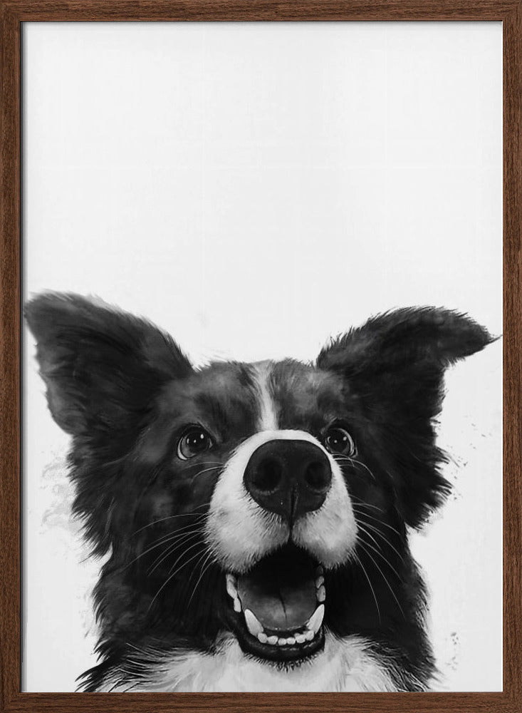 Mirada alegre de un perro  ·  cuadro de decoración