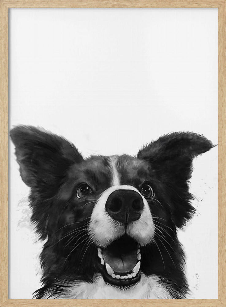 Mirada alegre de un perro  ·  cuadro de decoración