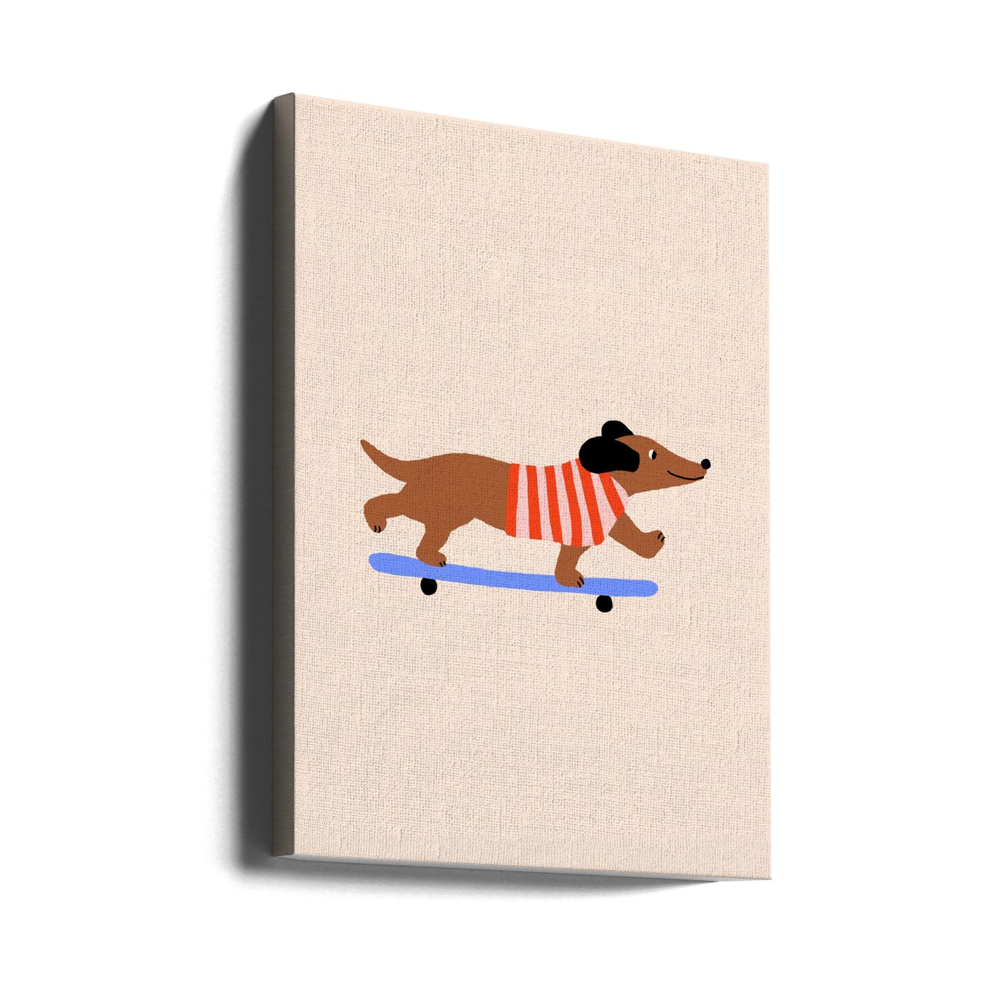 Dachshund en patineta ·  cuadro de decoración