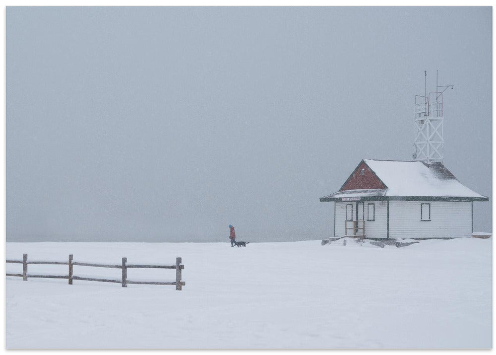 Paseando al perro por la playa con nieve  ·  cuadro de decoración