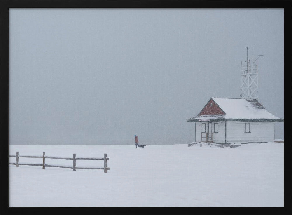 Paseando al perro por la playa con nieve  ·  cuadro de decoración