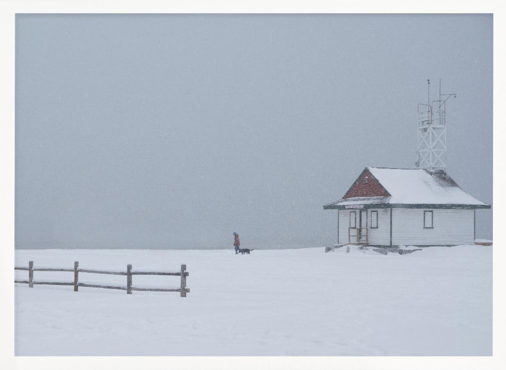 Paseando al perro por la playa con nieve  ·  cuadro de decoración
