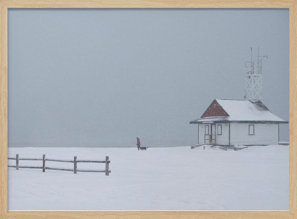 Paseando al perro por la playa con nieve  ·  cuadro de decoración