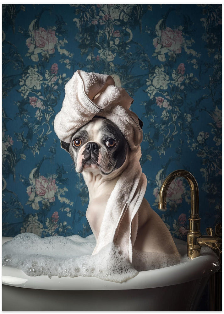 Baño de burbujas para perros  ·  cuadro de decoración