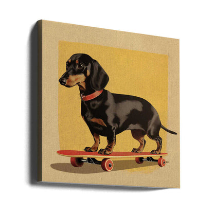 Dachshund patinador  ·  cuadro de decoración