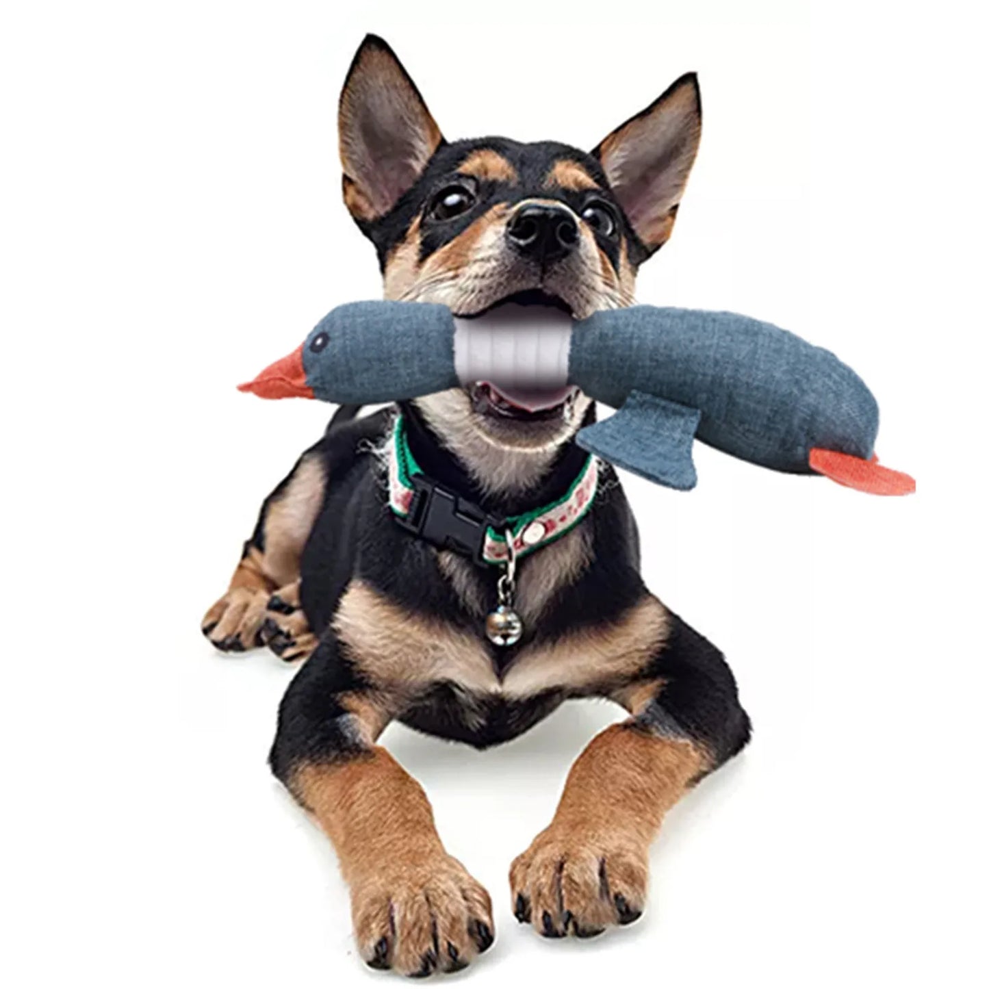 Pato azul · juguete de perro de peluche