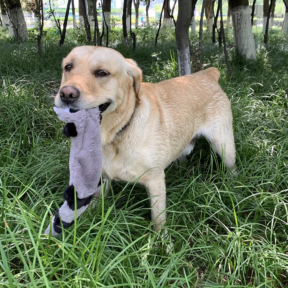Mapache sin relleno · juguete de perro esponjoso